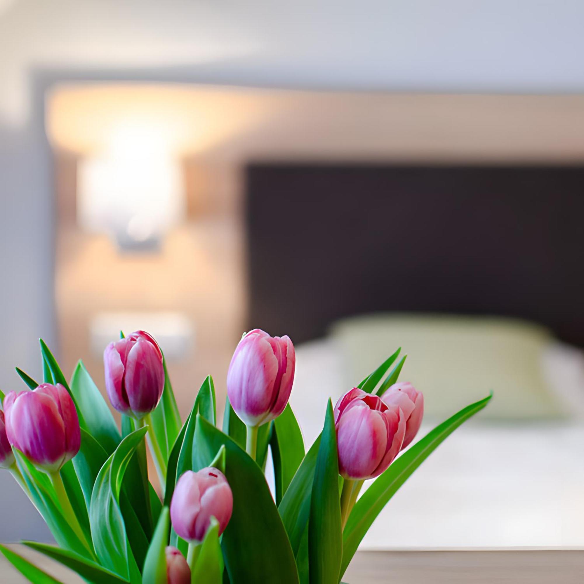Appartements 'In Vino Veritas' Haslach im Kinzigtal Buitenkant foto