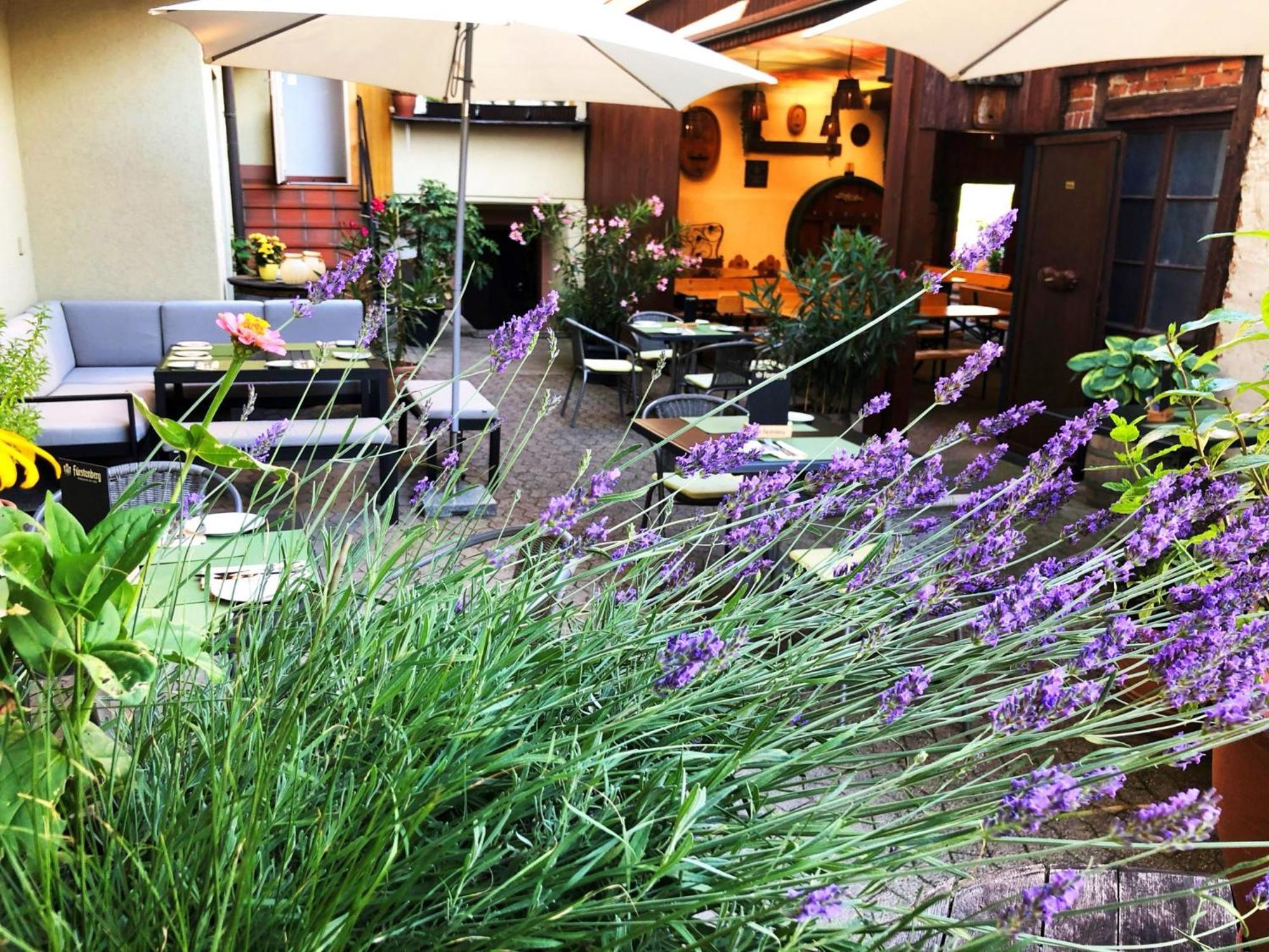 Appartements 'In Vino Veritas' Haslach im Kinzigtal Buitenkant foto