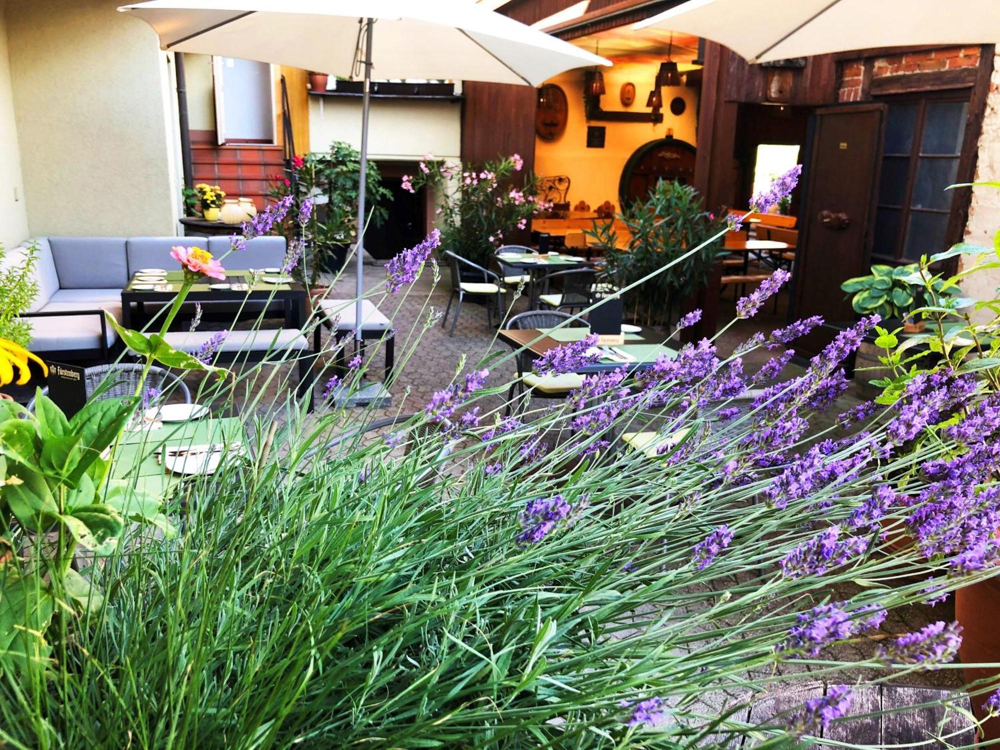 Appartements 'In Vino Veritas' Haslach im Kinzigtal Buitenkant foto